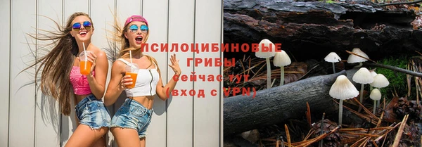 а пвп мука Ельня